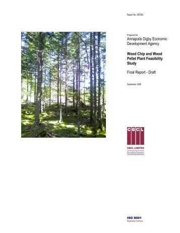 Wood Chip and Wood Pellet Plant Feasibility Study - Town of ...