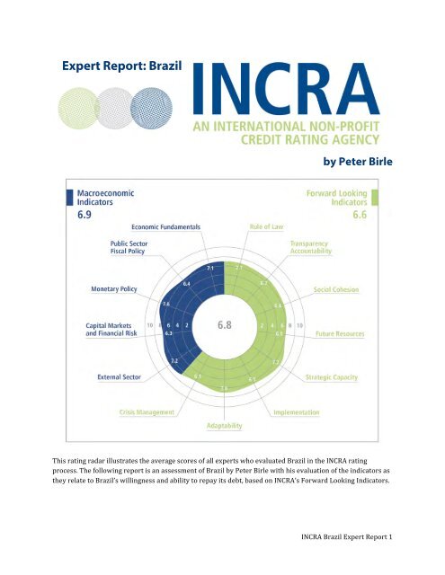 Brazil Expert Report-1.pdf