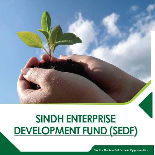 Title front - Sindh Board Of Investment, Government Of Sindh