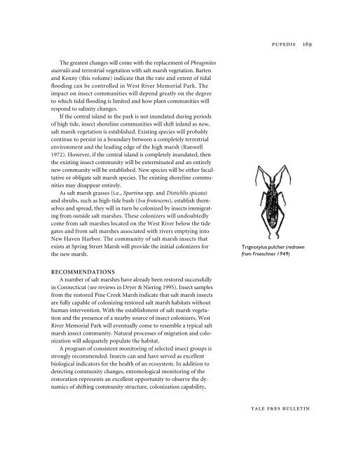 Aquatic Insects of the West River and Salt Marshes ... - Yale University