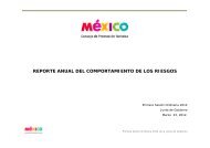 reporte anual del comportamiento de los riesgos - CPTM