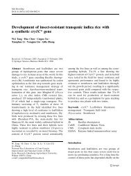 Development of insect-resistant transgenic indica ... - ResearchGate