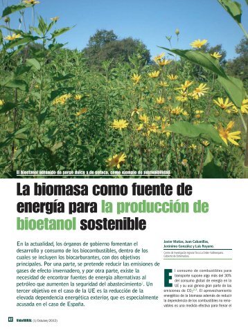 La biomasa como fuente de energÃ­a para la producciÃ³n de ...