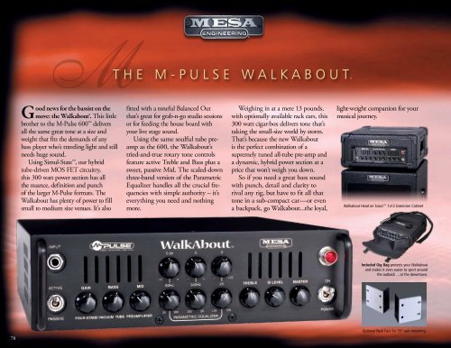 Walkabout and Scout Combo - Mesa Boogie