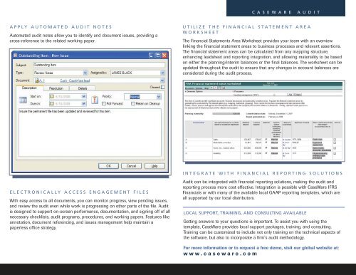 Audit Brochure-2008.qxd - Caseware International Inc.