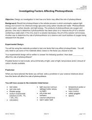 Investigating Factors Affecting Photosynthesis