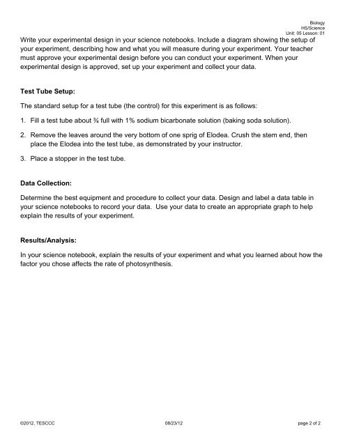 Investigating Factors Affecting Photosynthesis