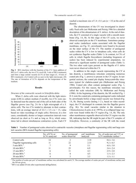 Inhibition of Contractile Vacuole Function by ... - Universität zu Köln