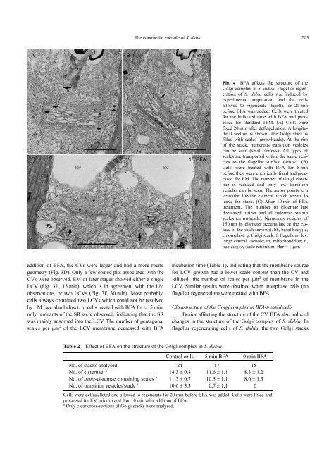 Inhibition of Contractile Vacuole Function by ... - Universität zu Köln