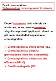 Cromatografia su colonna - UniversitÃ  dell'Insubria