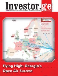 Issue 2, 2012 April-May - Investor.ge