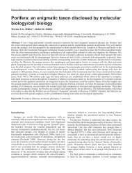 Porifera: an enigmatic taxon disclosed by molecular ... - Porifera Brasil