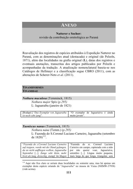 História da ornitologia no Paraná. Período de Natterer, 1