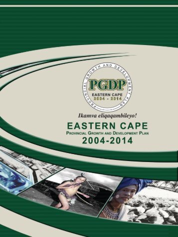 Provincial Growth and Development Plan - Eastern Cape ...