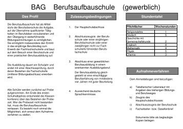Anmeldeformular BAG (pdf-Format) - Technische Schule Aalen