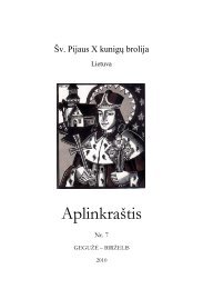 AplinkraÅ¡tis Nr. 7 - Å v. Pijaus X brolija