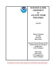 Ecological Risk Assessment for Atlantic Wood Industries, April 1992