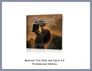 Mystical Tint Tone and Color 2.0 Professional ... - Auto FX Software