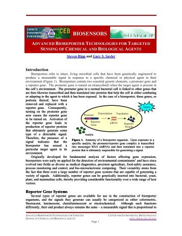 Primer on Biosensor Technology - Center for Environmental ...