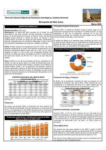 Monografía del Maíz Grano - Financiera Rural