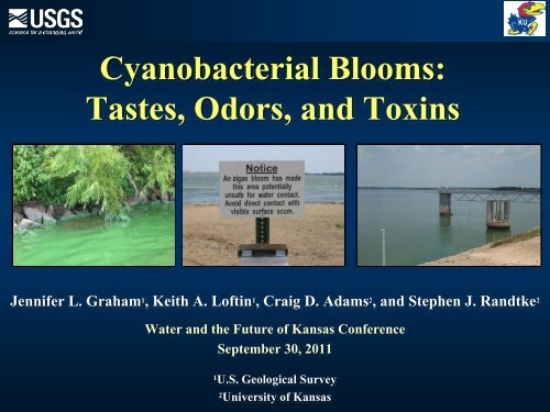 Cyanobacterial blooms