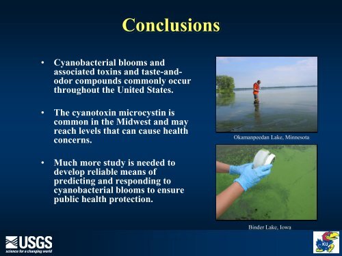 Cyanobacterial blooms