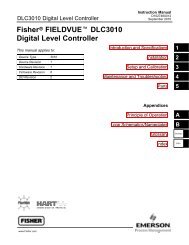 Fisher FIELDVUE DLC3010 Digital Level Controller