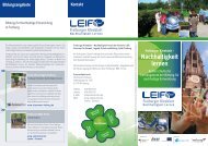 Info-Flyer - Freiburger Kleeblatt - leif