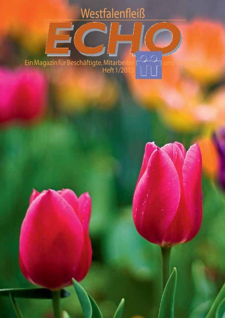 Ausgabe 44 - 01 / 2013 - Westfalenfleiß GmbH