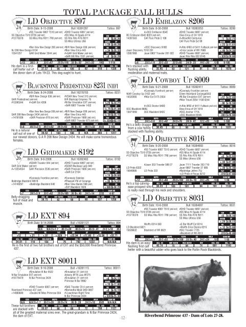 TOTAL PACKAGE BULL SALE - Angus Journal