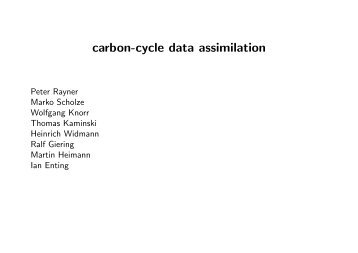 carbon-cycle data assimilation - FastOpt