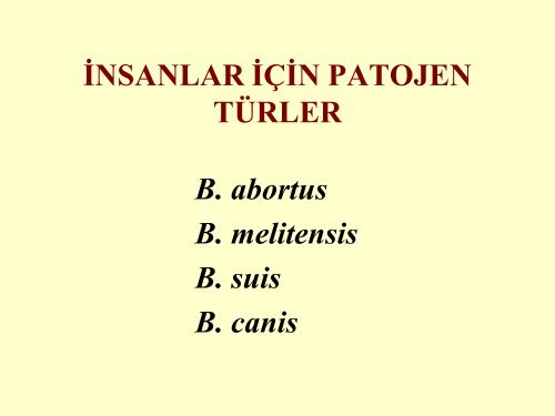 bruselloz - Ziraat FakÃ¼ltesi - Ankara Ãniversitesi