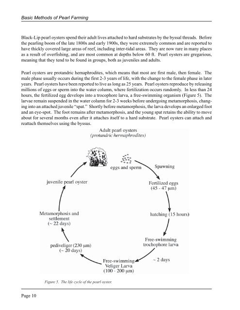 The Basic Methods of Pearl Farming: A Layman's Manual - CTSA