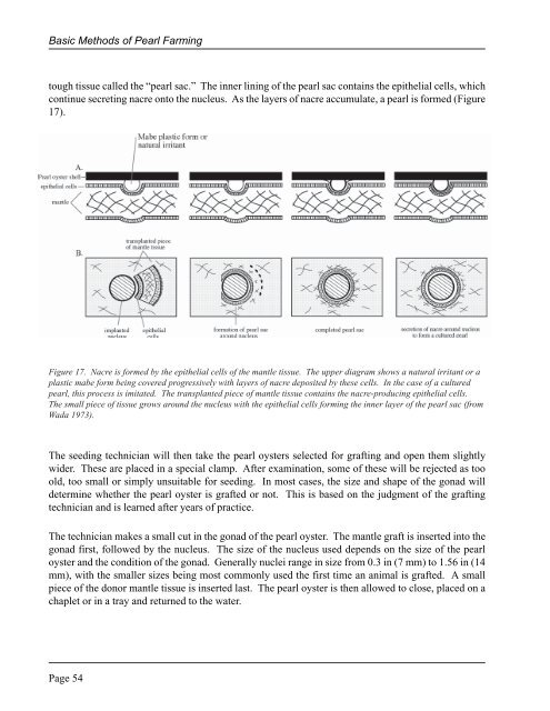 The Basic Methods of Pearl Farming: A Layman's Manual - CTSA