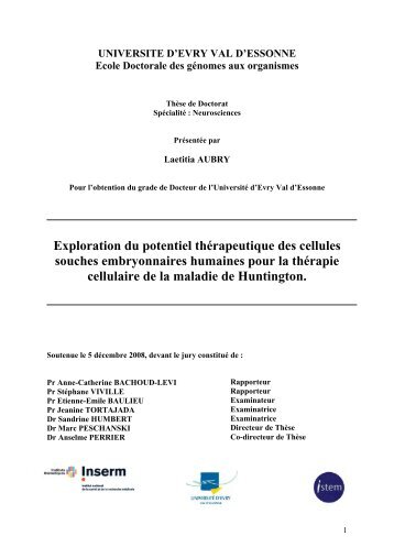 Exploration du potentiel thérapeutique des cellules souches ...