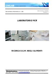 Documento Informativo nr - CheLab