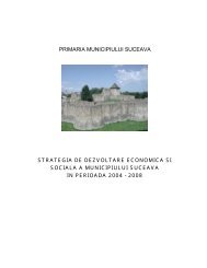 Strategia de dezvoltare economicÄ Åi socialÄ - PrimÄria Municipiului ...