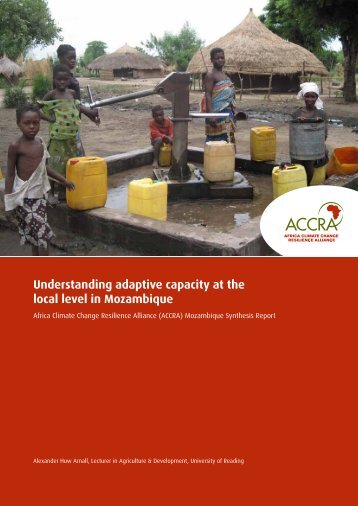 Understanding adaptive capacity at the local level in Mozambique