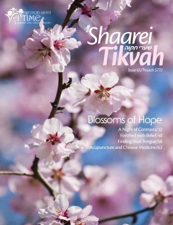 Pesach 5772 Mgazine_Pesach Magazine 5772 - Jewish Infertility