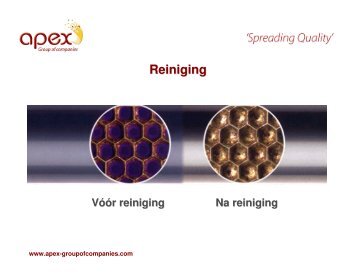 Reiniging - Apex-groupofcompanies.com