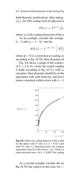 Feynman Path Integral Formulation