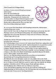Das Projekt Kunstrasen - SV-Ruppertshain