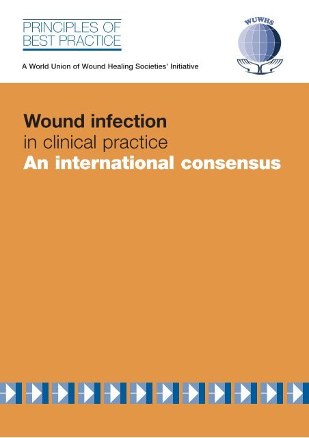 Wound infection in clinical practice: an international consensus