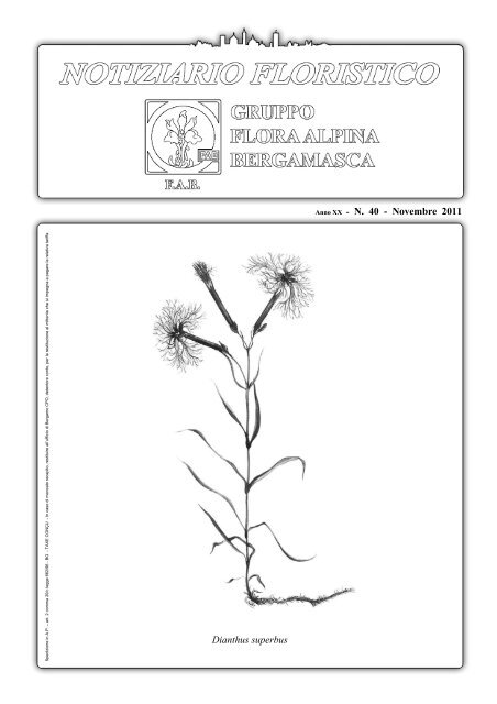 NOV 2011 - Gruppo Flora Alpina Bergamasca