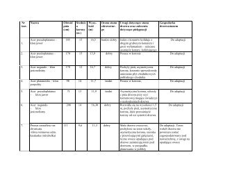 Tabela-inwentaryzacja drzew