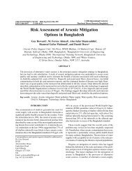 Risk Assessment of Arsenic Mitigation Options in Bangladesh