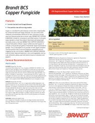 Brandt BCS Copper Fungicide