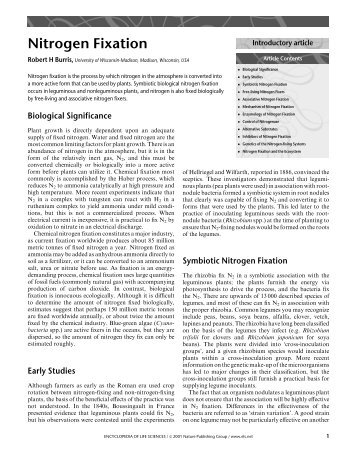 Nitrogen Fixation