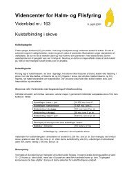 Kulstofbinding i skove - Videncenter for Halm- og Flisfyring