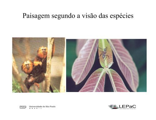 Ecologia da Paisagem: Conceitos e MÃ©todos de Pesquisa